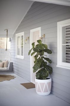 a house with a plant on the front porch and an instagram post about it