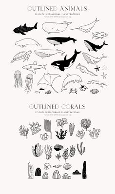 the different types of animals are shown in this graphic style, including dolphins and other marine creatures