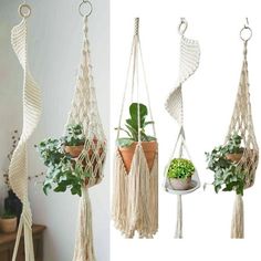 three macrame plant hangers with plants in them and one hanging on the wall