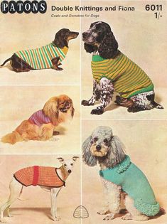 four dogs wearing sweaters in different styles and colors, from the catalog patons