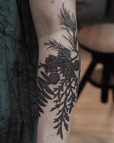 a pine cone and branch tattoo on the arm