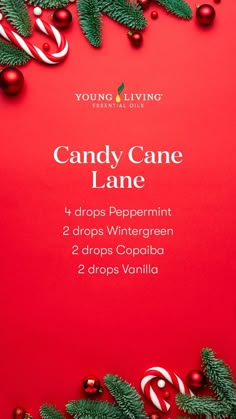 Essential Oil Christmas, Diffuser Blends Young Living, Candle Factory, Essential Oil Products