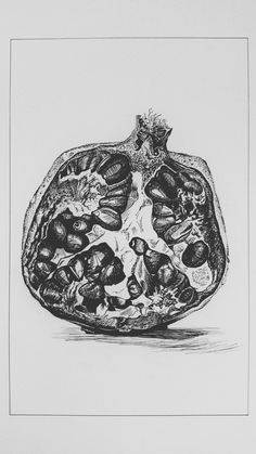 a drawing of an animal's stomach with many different types of food on it