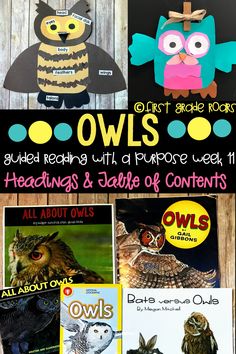 owls reading and crafts for kids to make with their own book covers, bookshelves, and more