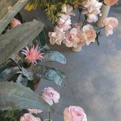 pink flowers and greenery are arranged in vases on the floor next to each other