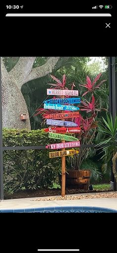 there is a sign made out of books in front of a tree and some plants