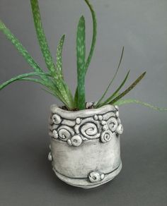 a potted plant sitting on top of a gray table next to a green plant