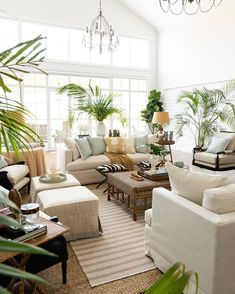 a living room filled with lots of furniture and plants on top of the couches