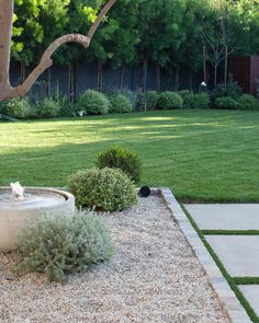 a garden with grass, rocks and trees in it