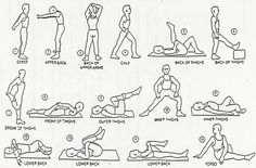 a diagram showing how to do an exercise