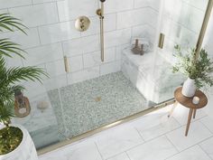 a bathroom with a shower, toilet and potted plants on the side walk in tub