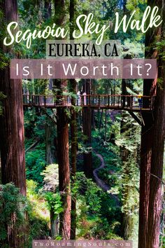 a bridge in the middle of a forest with text overlay that reads sequta sky walk, eurekaca, is it worth it?