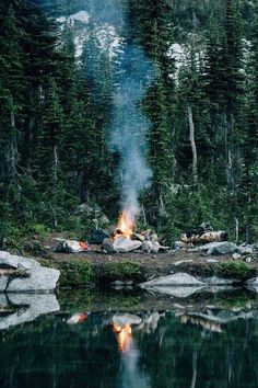 a campfire in the middle of a lake surrounded by trees