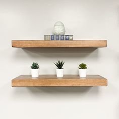 three wooden shelves with plants and books on them