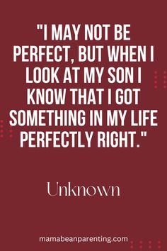 a quote that says i may not be perfect but when i look at my son i know