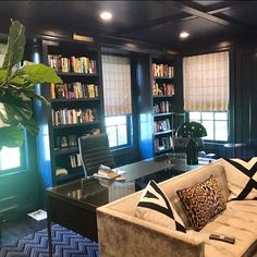 a living room filled with furniture and bookshelves