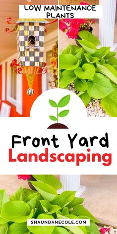 the front yard landscaping sign is shown with flowers and plants in it, along with text overlay that reads low maintenance plants