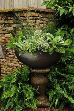 a large potted plant sitting in the middle of a garden next to a brick wall