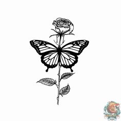 a black and white drawing of a butterfly on a rose