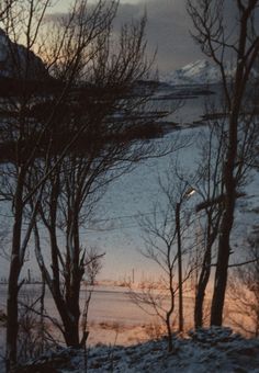 the snow covered ground is next to some trees