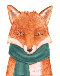 a drawing of a fox wearing a scarf