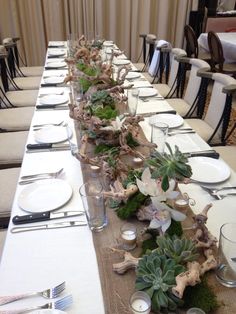 a long table is set with place settings for dinner guests to sit down and eat