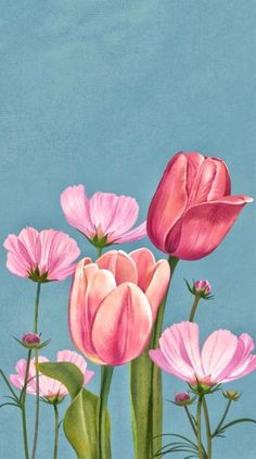 a painting of pink flowers on a blue background