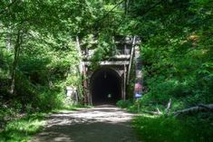 a tunnel in the middle of a forest with lots of trees on both sides and a road leading into it