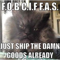 a black cat with the caption just ship the damn goods already to fob giffas