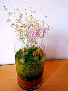 a vase filled with moss and flowers on top of a wooden table