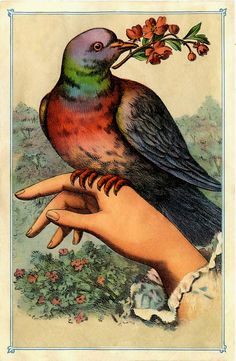 a bird perched on the hand of a woman's arm, with flowers in it