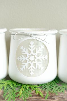 three white jars with snowflakes on them are sitting next to green plants and pine cones