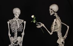 two skeletons with one holding a flower and the other saying, don't wait too long the time to say i love you is now