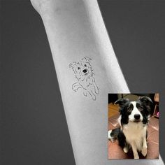 a black and white dog sitting on top of a person's arm with a tattoo