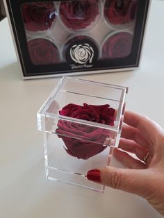 a person's hand is holding a clear box with red roses in it on a table