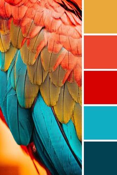 an image of a colorful bird with feathers on it's back and color swatches