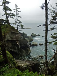 the ocean is surrounded by trees and rocks