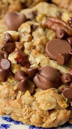 cookies with chocolate chips and pecans on a blue and white plate, ready to be eaten