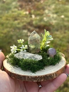 a person holding a piece of wood with plants and rocks on it in their hand