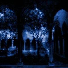 an old building with arches and trees in the window sills at night time