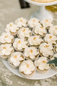 cupcakes are arranged on a white plate