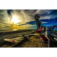 there are many surfboards lined up on the beach near the water and palm trees