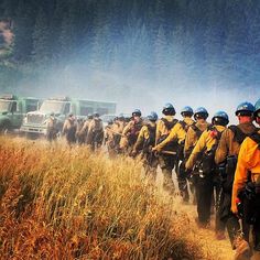 a large group of people in yellow jackets and helmets walking down a dirt road with trucks behind them