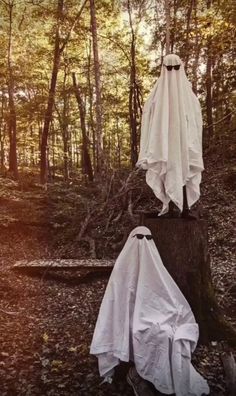 two white cloths hanging from trees in the woods