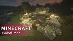 a minecraft video game with the words,'axolot pond '