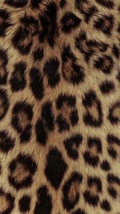 an animal print fur with black and brown spots