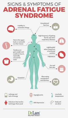 Adrenal Fatigue Symptoms, Adrenal Health, Endocannabinoid System, Fatigue Syndrome, Lack Of Energy, Respiratory Diseases, Carpal Tunnel, Thyroid Health, Adrenal Fatigue