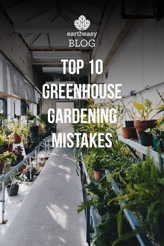 the top 10 greenhouse gardening mistakes