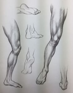 the legs and feet are shown in this drawing