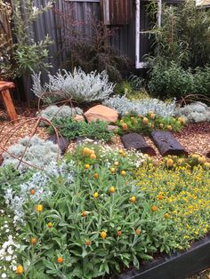 a garden filled with lots of different types of flowers